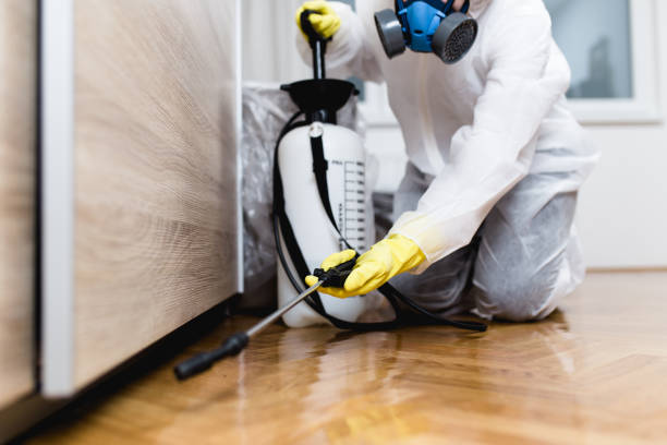 Best Best Pest Control Companies  in Fort Pierce North, FL