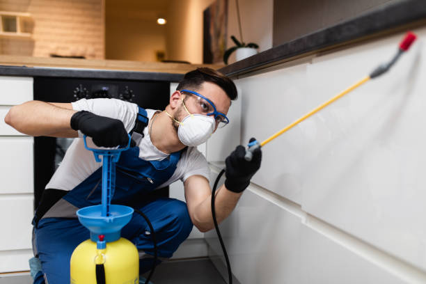 Best Pest Control Near Me in Fort Pierce North, FL