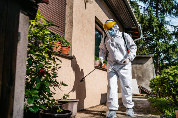 Professional Pest Control in Fort Pierce North, FL