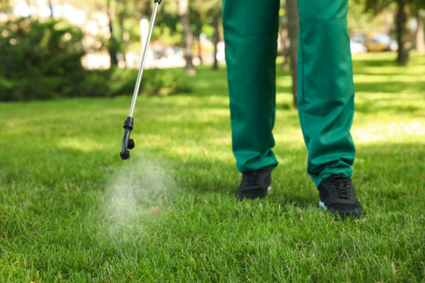 Best Residential Pest Control  in Fort Pierce North, FL