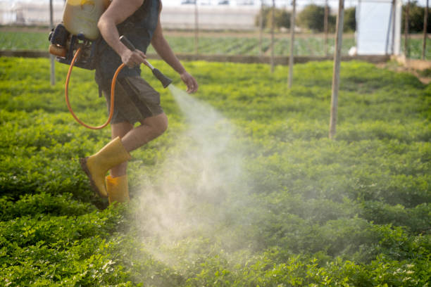 Best Pest Prevention Services  in Fort Pierce North, FL