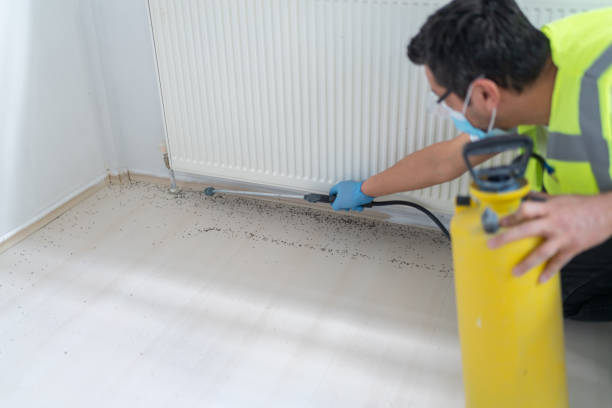 Reliable Fort Pierce North, FL Pest Control Solutions